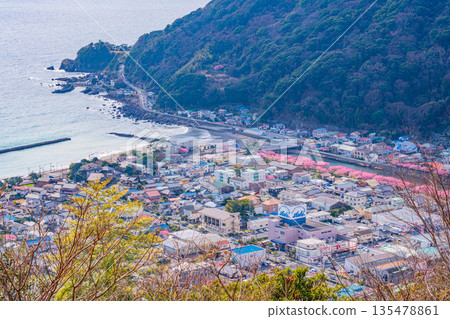 (Shizuoka Prefecture) Kawazu cherry blossom trees lined up near Izukyu Kawazu Station as seen from Kawazu Castle Ruins Park (Shizuoka Prefecture) Kawazu cherry blossom trees lined up near Izukyu Kawazu Station as seen from Kawazu Castle Ruins Park 135478861