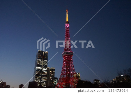 Tokyo Tower and the Prince Shiba Park skyscraper lit up in pink. January, Minato Ward 2402 Tokyo Tower and the Prince Shiba Park skyscraper lit up in pink. January, Minato Ward 2402 135478914