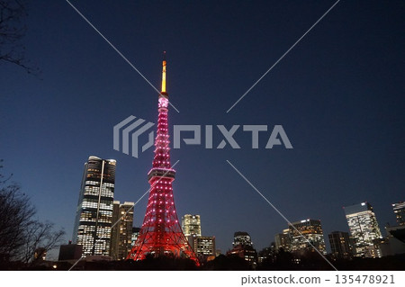 Tokyo Tower and the Prince Shiba Park skyscraper lit up in pink January, Minato Ward 2409 135478921