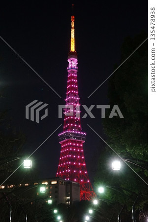 Tokyo Tower and street lights lit up in pink January, Minato Ward 2426 Tokyo Tower and street lights lit up in pink January, Minato Ward 2426 135478938