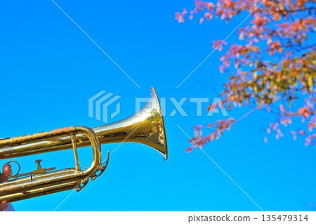 Trumpet performance with autumn sky as background Trumpet performance with autumn sky as background 135479314