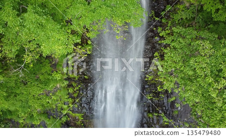 Tamadare Falls surrounded by fresh greenery Tamadare Falls surrounded by fresh greenery 135479480