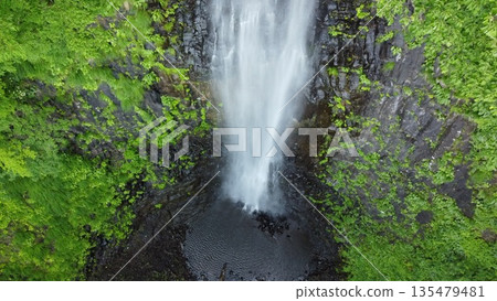 Tamadare Falls surrounded by fresh greenery Tamadare Falls surrounded by fresh greenery 135479481