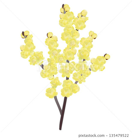 冬日甜心插圖 135479522