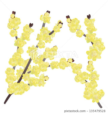 冬日甜心插圖 135479528