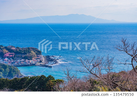(Shizuoka Prefecture) View of Inatori and Izu Oshima from Kawazu Castle Ruins Park (Shizuoka Prefecture) View of Inatori and Izu Oshima from Kawazu Castle Ruins Park 135479550