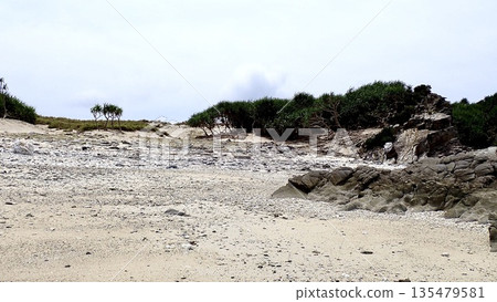 Beach scenery of Agenashiki Island in Zamami Village, Okinawa Prefecture Beach scenery of Agenashiki Island in Zamami Village, Okinawa Prefecture 135479581