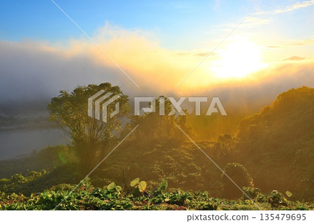 The Shinano River and morning mist as seen from Yamamotoyama Plateau (Ojiya City, Niigata Prefecture) 135479695