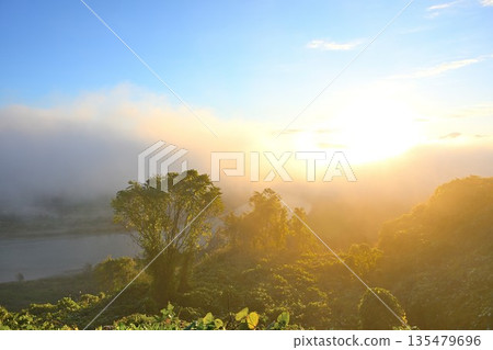 The Shinano River and morning mist as seen from Yamamotoyama Plateau (Ojiya City, Niigata Prefecture) 135479696