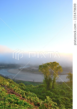 The Shinano River and morning mist as seen from Yamamotoyama Plateau (Ojiya City, Niigata Prefecture) 135479699
