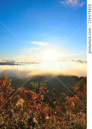 Morning scenery of autumn leaves and a sea of clouds on the Yamamotoyama Plateau (Ojiya City, Niigata Prefecture) 135479928