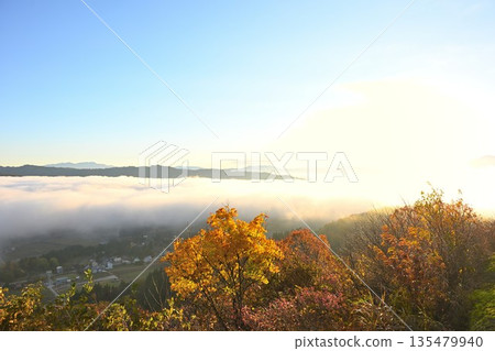 Morning scenery of autumn leaves and a sea of clouds on the Yamamotoyama Plateau (Ojiya City, Niigata Prefecture) 135479940