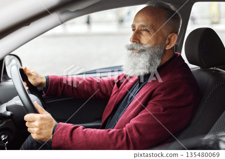 Bearded senior man in stylish suit driving luxury car, going to office for business meeting, side view, copy space. Handsome elderly grey-haired man sitting inside new car, traveling alone 135480069