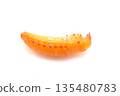 Bean tiger beetle pupa Bean tiger beetle pupa 135480783