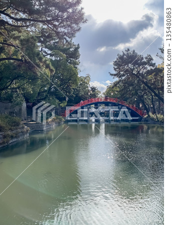 大阪府住吉大社的反橋（拱橋） 135480863