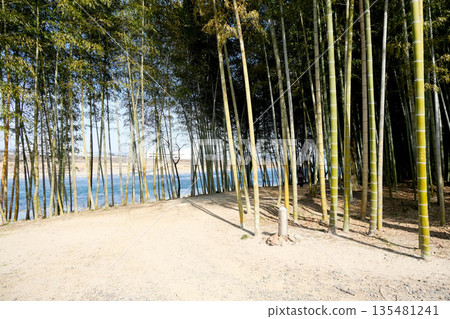 Kani City, Gifu Prefecture_Kiso River Ferry Promenade (Princess Kaguya's Walking Path) 23_March 2025 Kani City, Gifu Prefecture_Kiso River Ferry Promenade (Princess Kaguya's Walking Path) 23_March 2025 135481241