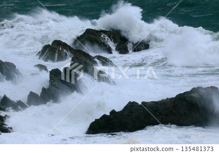 Stormy winter coast with rocks and big waves Stormy winter coast with rocks and big waves 135481373