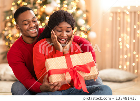 Christmas or New Years morning and gifts. Surprised young african american woman rejoices with present in box with ribbon from husband in living room interior with tree and garlands, free space 135481415