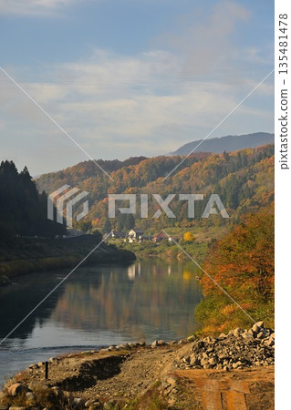 流經野澤溫泉村的千曲川和秋葉(長野縣野澤溫泉村) 流經野澤溫泉村的千曲川和秋葉(長野縣野澤溫泉村) 135481478