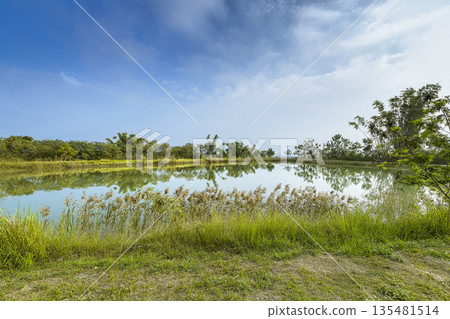 台灣田老月世界, 高雄, 台灣 135481514
