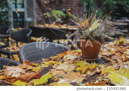 Autumn cafe with falling yellow leaves in rainy weather Autumn cafe with falling yellow leaves in rainy weather 135481980
