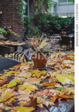 Autumn cafe with falling yellow leaves in rainy weather Autumn cafe with falling yellow leaves in rainy weather 135481983