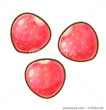 多顆無梗草莓 / 可愛的水彩水果插圖 135482184