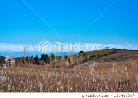 Shikoku Karst with its beautiful pampas grass Shikoku Karst with its beautiful pampas grass 135482554
