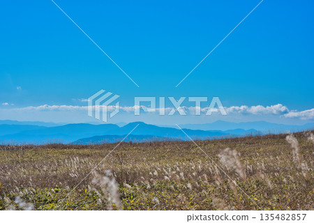 從四國喀斯特地形眺望四國山脈和日本蒲葦草。 從四國喀斯特地形眺望四國山脈和日本蒲葦草。 135482857