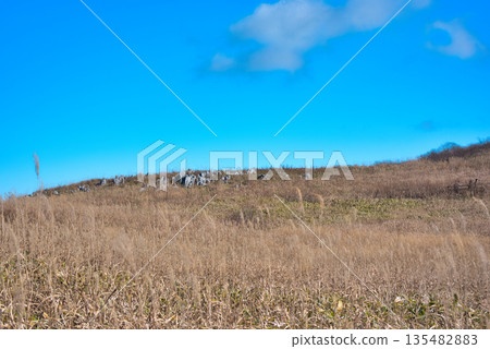 Shikoku karst Shikoku karst 135482883