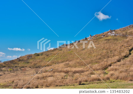 四國喀斯特 135483202