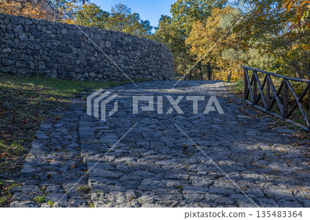 Serenity Trail in Etna Woods 135483364