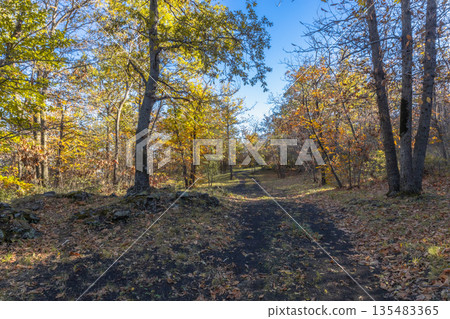 Serenity Trail in Etna Woods 135483365