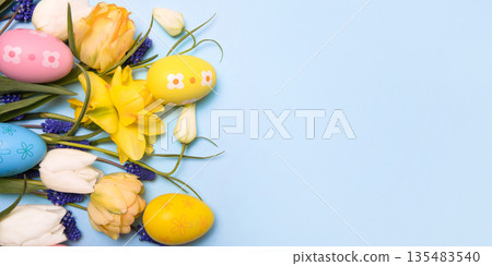 Easter colored painted eggs and yellow daffodils, blue muscari and white tulips on blue background with space for text and greetings. Easter and spring concept. Spring background 135483540