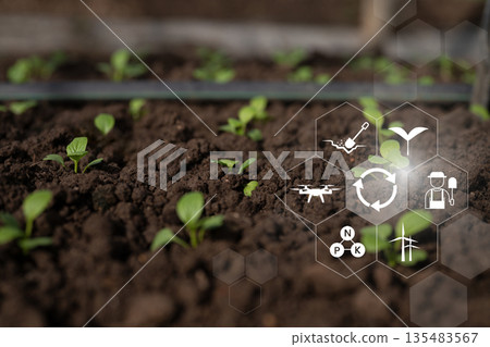 Smart farming concept showing young seedlings in soil with digital icons for precision agriculture and sustainable crop management Smart farming concept showing young seedlings in soil with digital icons for precision agriculture and sustainable crop management 135483567