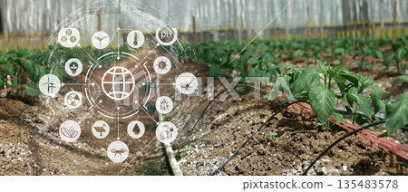 Plants grow in greenhouse with digital icons showing data driven agriculture technology for monitoring nutrients energy and sustainability 135483578