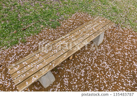 有落的櫻花瓣的公園長椅 有落的櫻花瓣的公園長椅 135483787