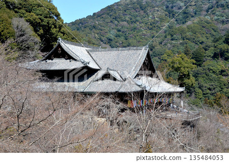 奈良縣櫻井市_長谷寺2_2025年3月 135484053