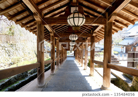 奈良縣櫻井市_長谷寺_2025年3月5日 135484056