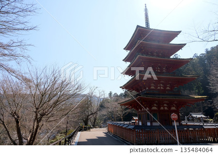 奈良縣櫻井市_長谷寺五重塔1_2025年3月 135484064