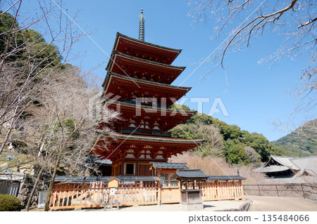 奈良縣櫻井市_長谷寺五重塔3_2025年3月 135484066