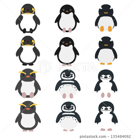 Various kinds of fluffy penguin materials 135484092