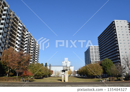 Autumn in Tsukuba Science City (Oshimizu Park), Ibaraki Prefecture 135484327