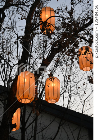 Shanghai, China, Banlong Tianchi (Spring Festival) 135484356