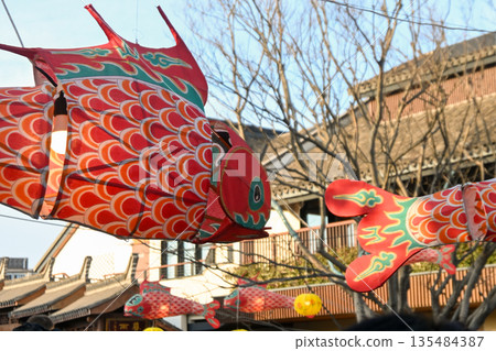 中國上海,半龍天池(春節) 中國上海,半龍天池(春節) 135484387