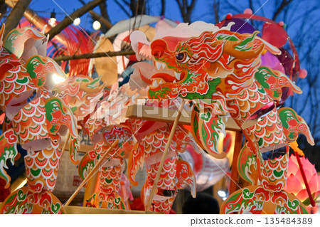 中國上海,半龍天池(春節) 中國上海,半龍天池(春節) 135484389