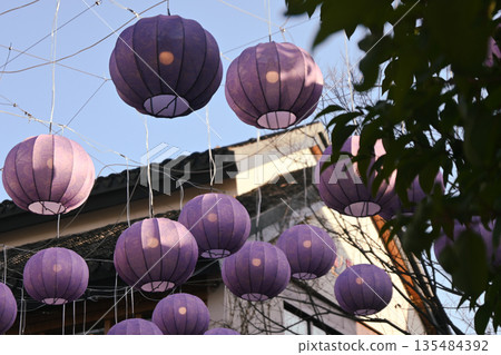 中國上海,半龍天池(春節) 中國上海,半龍天池(春節) 135484392
