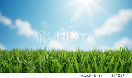 Lush green grass blades are seen from a worms-eye view, creating a vibrant foreground under a clear blue sky with fluffy clouds and a brilliant sunburst. Lush green grass blades are seen from a worms-eye view, creating a vibrant foreground under a clear blue sky with fluffy clouds and a brilliant sunburst. 135485225