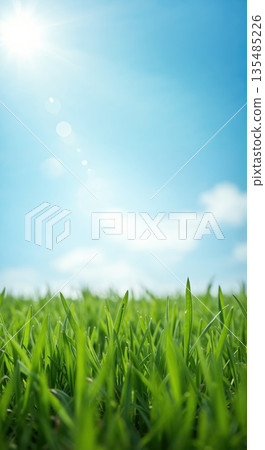 Fresh green grass blades emerge from the ground, reaching towards a vibrant blue sky with a bright sun and natural lens flare. Fresh green grass blades emerge from the ground, reaching towards a vibrant blue sky with a bright sun and natural lens flare. 135485226