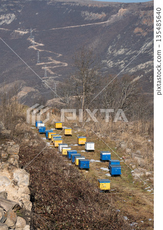 Rows of colorful beehives Near Tatev monastery stand along dry mountain slope with bare trees and rocky ground, muted earth tones contrast Rows of colorful beehives Near Tatev monastery stand along dry mountain slope with bare trees and rocky ground, muted earth tones contrast 135485640